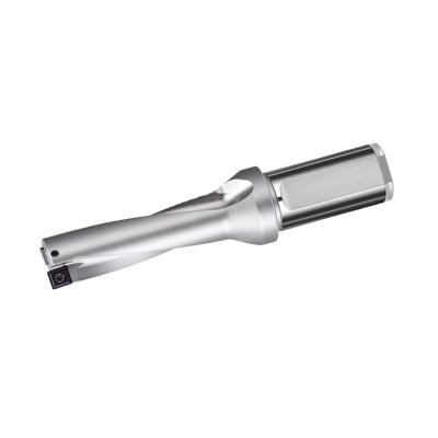 S-பிளேடு ஃபாஸ்ட் பிட் -D x 2